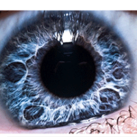 eye-200x200 eye-200x200